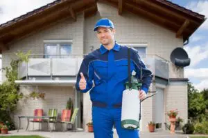 Top Factors Why You Need to Use Professional Pest Control