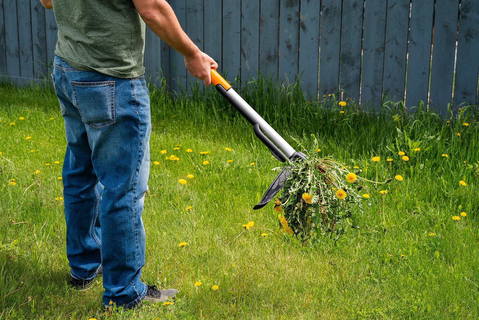 Get Santa Fe Weed Control Services by Parker Pest Services