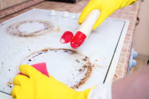 Top Kitchen Strategies to a Pest Free House