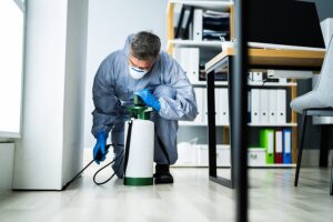 Santa Fe Pest Control Winter Pest Proofing Best Tips to Know