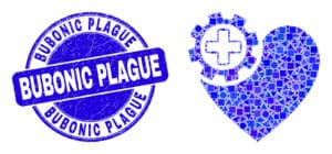 The Dangers of the Bubonic Plague and Hantavirus in Santa Fe and Why You Need Professional Pest Control from Parker Pest Services